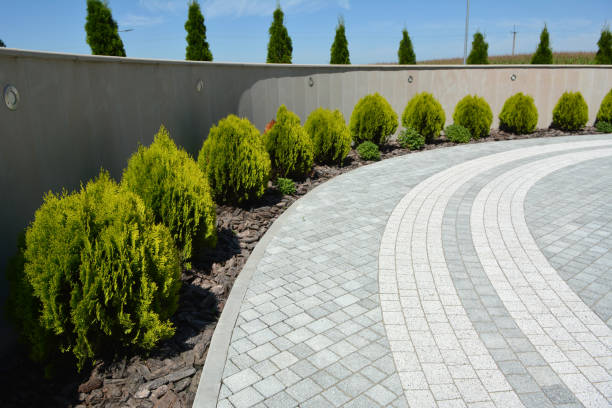 Best Driveway Pavers Near Me  in Shenandoah Heights, PA